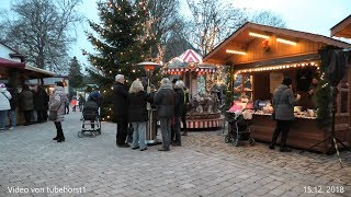 Weihnachtszauber auf Schloss Landau am 15 und 16 Dez 2018 in 4K von tubehorst1 [upl. by Aicyle963]