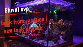 fluval evo 135 mixed reef update [upl. by Dannica]