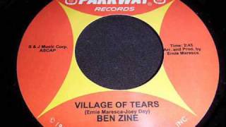 Ben Zine  Village Of Tears [upl. by Ebert140]