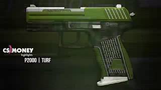 CSGO  P2000  Turf [upl. by Htidra]