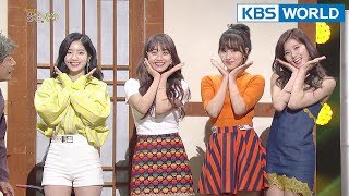 YOLO Inn  욜老 민박 Gag Concert  20180428 [upl. by Shull809]