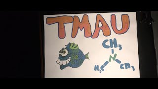 TRIMETHYLAMINURIA  TMAU [upl. by Mumford]