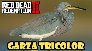 Donde encontrar la GARZA TRICOLOR en Red Dead Redemption 2✔️ [upl. by Nidia]