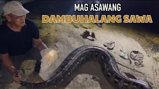 MAGASAWANG DAMBUHALANG SAWA [upl. by Akahs171]