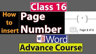 How to Insert Page Number in Ms Word in Urdu  Class No 16 [upl. by Eissehc]