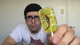 SUCKER FOR SCORPION LOLLIPOP wth r u eating 13 from hotlixcom [upl. by Nimajeb]