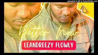 Leandrezy Flowly  Better Now [upl. by Chavey611]