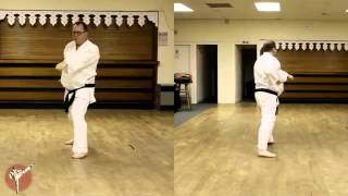 2 Pinan Nidan Wado Ryu [upl. by Ahseral]