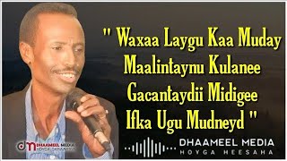 Shey Mire Dacar Heestii Gacanteydii Midigeey Lyrics [upl. by Rimma]