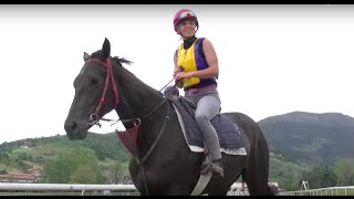 Entrenamiento de Caballos de Carrera • Hipodromo San Sebastian [upl. by Wilmer]