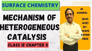 Mechanism Of Heterogeneous Catalysis  Class 12 Chapter 5 Surface Chemistry [upl. by Aisak15]