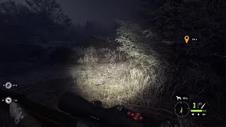 theHunter Call of the Wild found musk deer doddies and face wolves [upl. by Desmond]