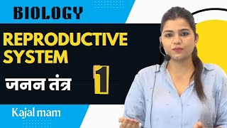 Reproductive system by kajal mam  Reproduction cgl railway alp technician rrbntpc biology [upl. by Kaete]