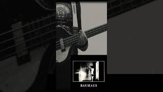 Bauhaus  Double Dare Bass CoverSegment postpunk basscover gothicrock [upl. by Enilasor]