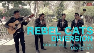 Rebel Cats  Diversion Encore Sessions [upl. by Aggappe196]