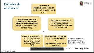 Aeromonas SPP  posgrado Infectología UNAL [upl. by Onfroi]