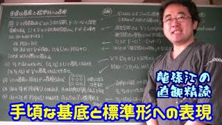 龍孫江の直観精読：手頃な基底と標準形への表現 [upl. by Tobiah]