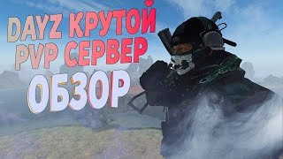 Dayz ОБЗОР на КРУТОЙ PVP Сервер AMNESIA [upl. by Trude]