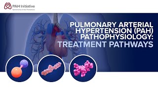 Pulmonary Arterial Hypertension PAH Pathophysiology Treatment Pathways [upl. by Felicio]