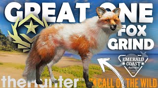 SHOCKING START to the EMERALD COAST FOX GRIND  Call of the Wild [upl. by Phare653]