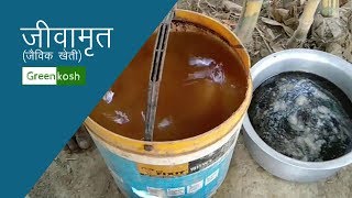 जीवामृत बनाने के सबसे आसान तरीका  How to make Jeev Amrit Jeevamrit for Organic Farming [upl. by Krein]