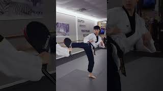 Combo of the Week 4  taekwondo kicking shorts [upl. by Elvira]