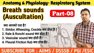 Lung sounds  Normal and Abnormal Stridor Croup Wheezing Ronchi Cracles Rale lungsounds [upl. by Koppel]