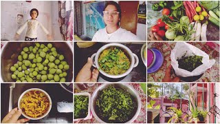 জীবন টা যুদ্ধ করে কাটাতে হচ্ছে। bengoli vlog [upl. by Gris]