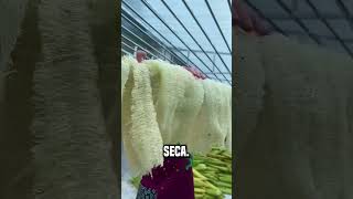 En China se fabrican zapatos con esta fruta😮 shortsvideo [upl. by Breban]