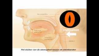 Hik  Hoe ontstaat het en hoe te stoppen [upl. by Brandtr]