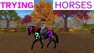 Trying Horses  Star Stable Realistic Roleplay [upl. by Adnorat]