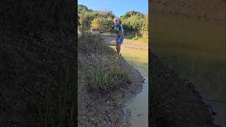 Woodland Island Headland landscaping forent ponds permaculture adventure ideas motivation [upl. by Nonac]