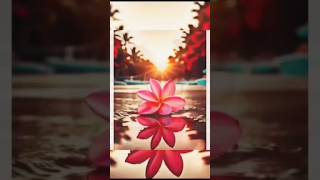 Flower status song  flower Hindi song video  fullscreen status  whatsapp status  shorts status [upl. by Florella]