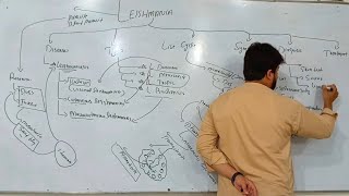 Leishmania  Types of Leishmania  Diagnosis and Treatment of Leishmaniasis [upl. by Niwdla]