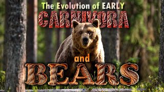 The early Carnivores and the Evolution of Bears [upl. by Esened14]