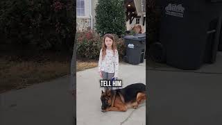 Will an Aggressive German Shepherd Listen to a 5 Year Old [upl. by Eetsud]