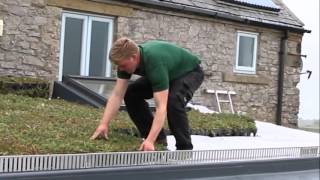 How to Install GrufeKit Sedum Green Roofs  Its Easy [upl. by Akirdna695]