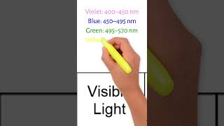 Breakdown Of The Colors In Visible Light Of The Electromagnetic Spectrum [upl. by Yila]