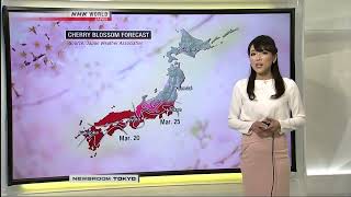 Sayaka Mori NHK World HD Newsroom Tokyo Weather March 8th 2018 [upl. by Sellma841]