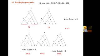 Cap7 4 Filogenia Parte 4 Máxima parcimônia e Máxima verossimilhança [upl. by Proudman]