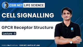 GPCR Receptor Structure  Cell signalling L  5  CSIR GATE DBT BARC ICMR  IFAS [upl. by Aiuqes]