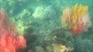 Snorkeling à Koh Mook Thailande  part 4 Full HD 1080 [upl. by Rebekkah]