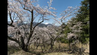 【4K】Katsuyama Castle Yamanashi  勝山城 山梨 [upl. by Norrab]