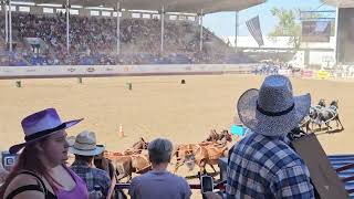 Greeley Stampede Rodeo 2024 [upl. by Seraphina151]