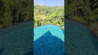 Luxury 5 Hotel In Bali Kayon Jungle Resorts 3 tier Infinity Pool luxurytravel bali pool [upl. by Willcox]