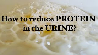 How to Reduce Protein in the Urine  TIPS [upl. by Rich]