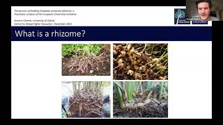 A rhizomatic analysis of the European Universities Initiative [upl. by Ursas]