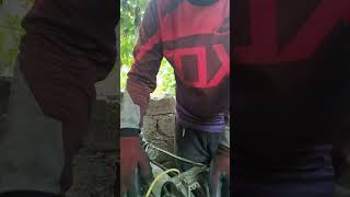 Alternator Testing and check shorts1 armandelectrical SSD shortsvideo [upl. by Beitz]