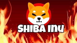 Shiba Inu coin Que está PASANDO shibToken [upl. by Noiztneb]