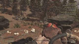 Where to Find the Totem Pole Ornament Plan in Fallout 76 [upl. by Nerwal24]